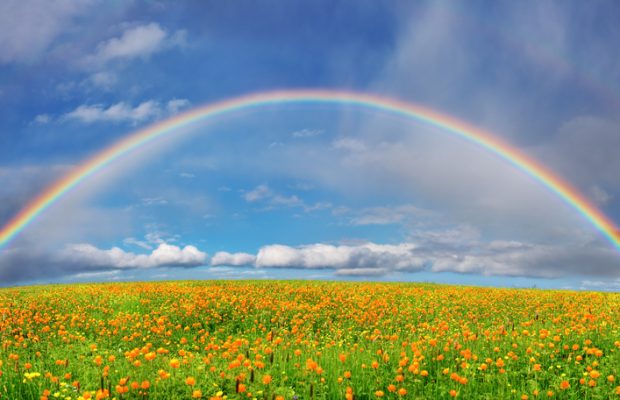 Impossible Trivia Tuesday 11 18 25 Impossible Trivia Tuesday 11 18 25