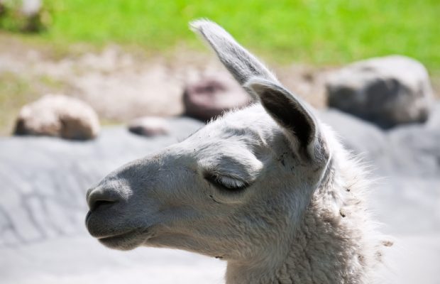 Impossible Trivia Monday 9 11 23 Impossible Trivia Monday 9 11 23