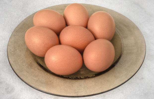 The world record for this was last set in January 2019. What is it?