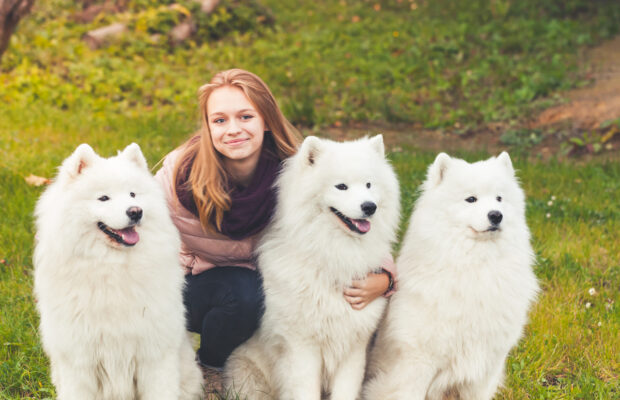 93% of dog owners are convinced their dogs can do this.  What is it?