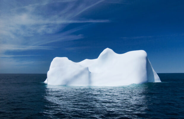 This is composed of 99% water.  What is it?