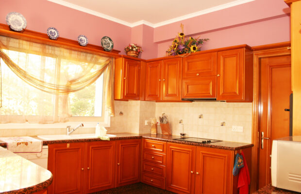 8 out of 10 Americans don’t allow this in their home.  What is it?