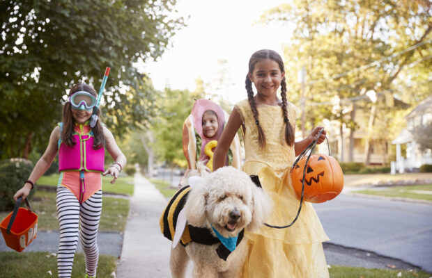 Trunk or Treat Claudius Crozet Trunk or Treat Claudius Crozet