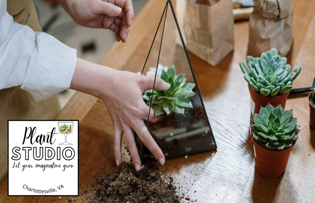 Plant Studio