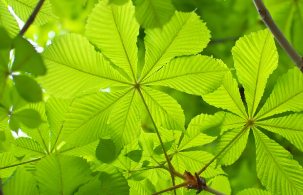 River View Farm Tour