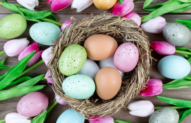 Adult Easter Egg Hunt Adult Easter Egg Hunt