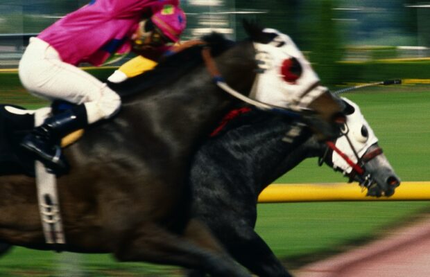 Spring Foxfield Races
