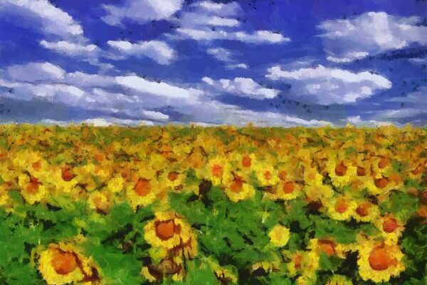 Fine Art + Flowers: VIP Exhibition Preview Party & Fundraiser