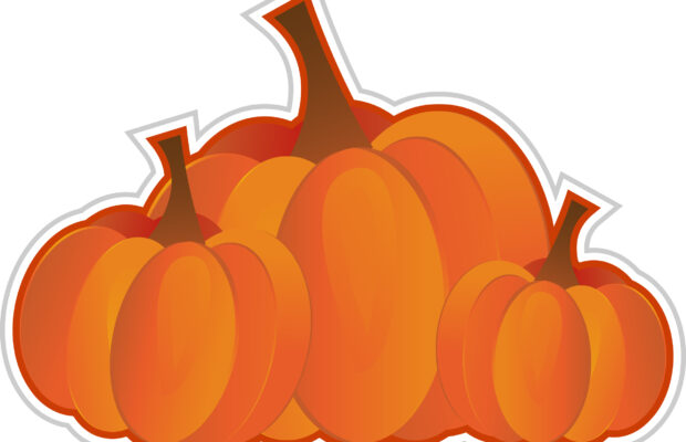 YMCA Gatorade Halloween Hustle 10k Run & 2 Mile Family Walk!
