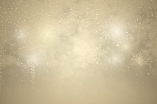 Winter Wonderland Adult Prom