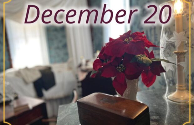 Evening Holiday Tour: December 27