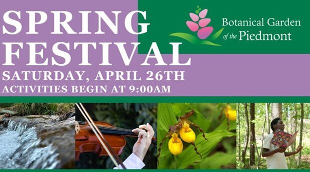 Spring Festival 2025