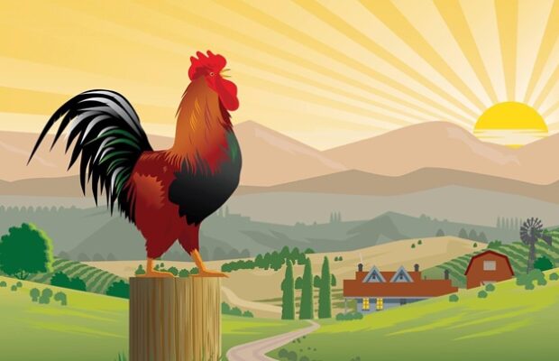 2025 Albemarle County Fair