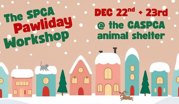 SPCA Pawliday Workshop