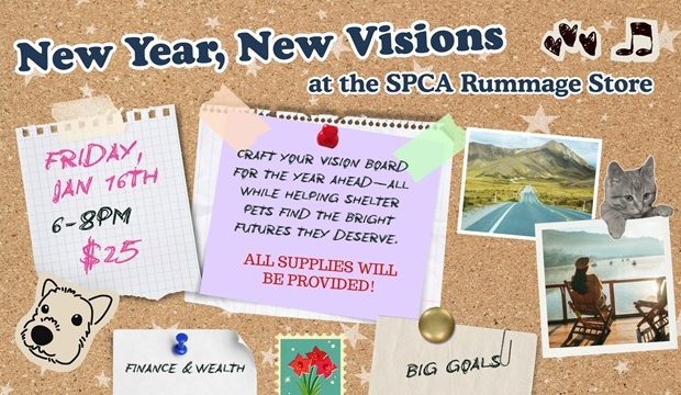 New Year, New Visions