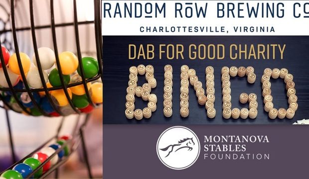 Dab for Good Charity Bingo