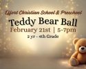 Teddy Bear Ball