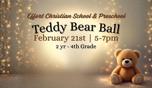 Teddy Bear Ball