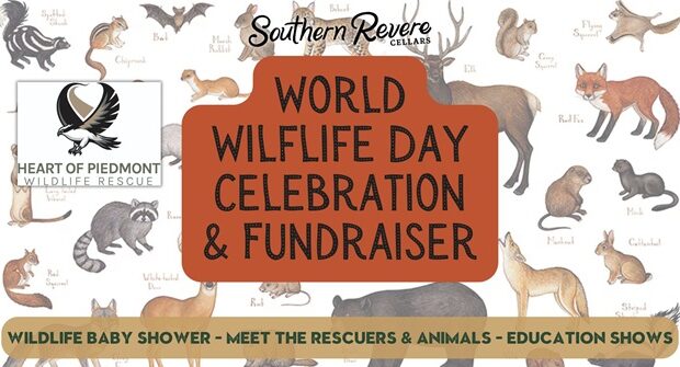 World Wildlife Day Wildlife Baby Shower