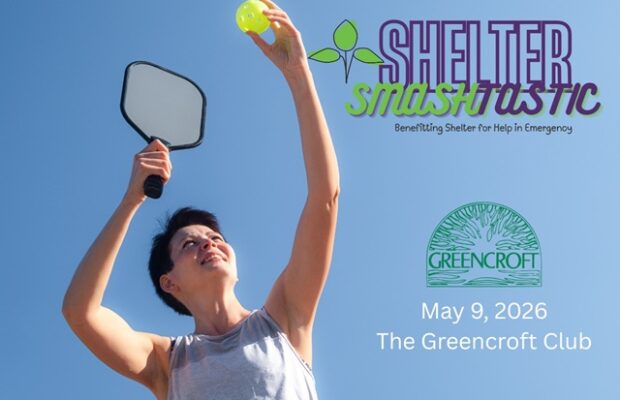 Shelter Smashtastic!