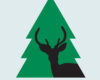 National park icon with deer stag and green fir
